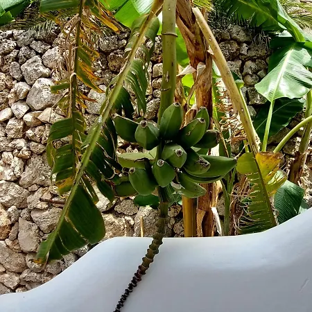 Casablanca بيت ضيافة ديرمي