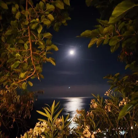 Casablanca Gasthof Dhërmi